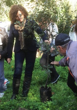 "Un albero per bambino"