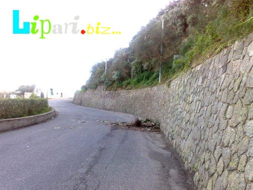 Ancora frane, fortunatamente di fichi d'india