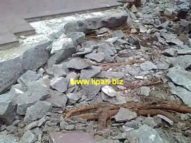 Scusate l'ostinatezza