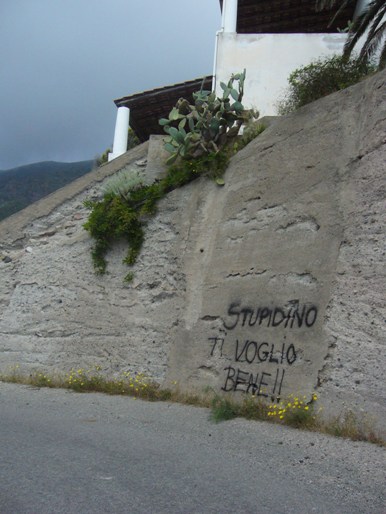 "Stupidini" all'opera